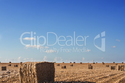 field after harvest