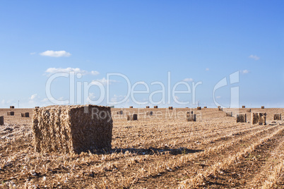 field after harvest