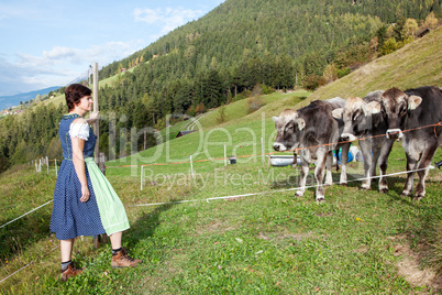 Woman in Dirndl with the cows