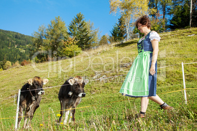 Woman in Dirndl with the cows
