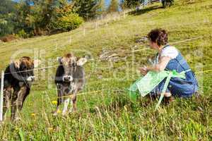 Woman in dirndl sitting in front of their cows