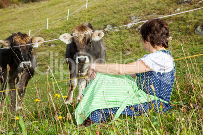 Woman in dirndl sitting in front of their cows