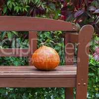 Pumpkin on the bench
