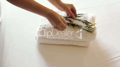 Clean towels with olive branches on bed