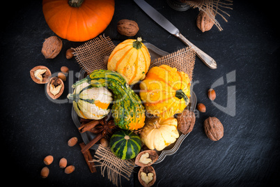 autumn pumpkins