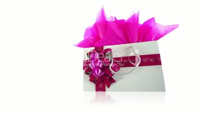 Pink Gift Bag Dolly Isolated on White