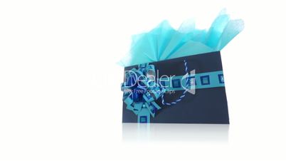 Blue Decorated Gift Bag Dolly