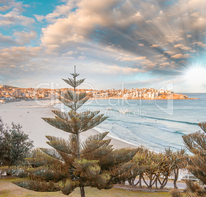 Bondi beach