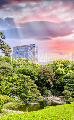 Beautiful park with buildings and sunset sky