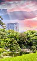 Beautiful park with buildings and sunset sky