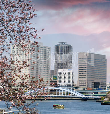 Tokyo skyline in spring