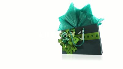 Green Gift Bag Dolly