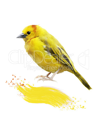 Watercolor Image Of  Yellow Bird