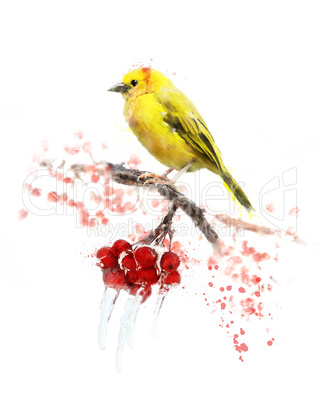 Watercolor Image Of  Yellow Bird