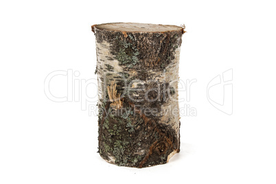Photo of birch stump