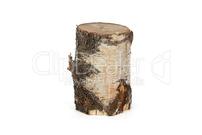 Image of birch stump
