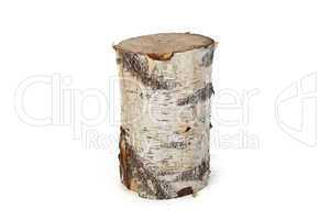 Isolated photo of birch stump