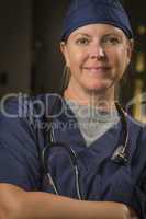 Attractive Female Doctor or Nurse Portrait