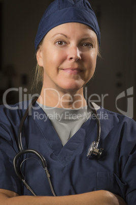 Attractive Female Doctor or Nurse Portrait