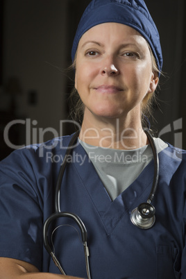 Attractive Female Doctor or Nurse Portrait