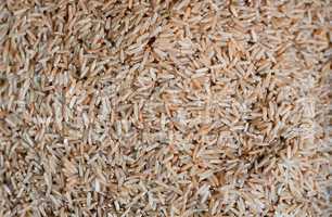 Rice on a market stand