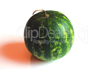 watermelon isolated on white