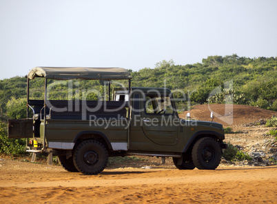 Jeep for tourists safari