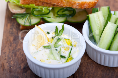 fresh vegetarian sandwich with garlic cheese dip salad