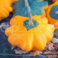 Pattypan squash