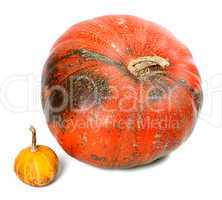 Big and small pumpkins