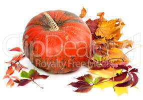 Red ripe pumpkin in autumn leaves.