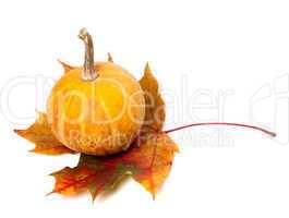 Orange decorative pumpkin on autumn maple-leaf