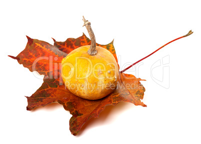 Decorative pumpkin on red autumn maple-leaf