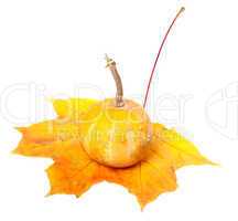 Small decorative pumpkin on orange autumn maple leaf