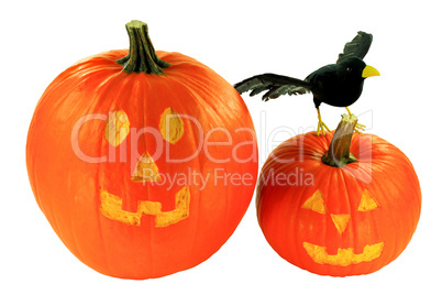 Halloween decoration over white background