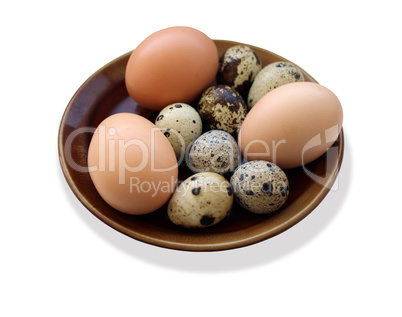 eggs of the quail and three of the hen on the plate isolated