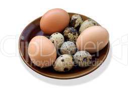eggs of the quail and three of the hen on the plate isolated