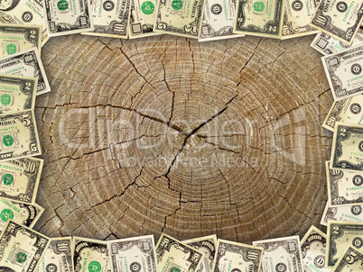Frame from the dollars on the wooden cut background