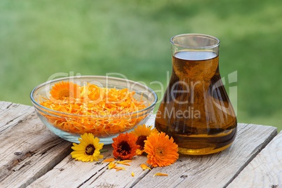 Calendula flowers and oil