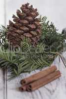 Fir Cone and needle branch