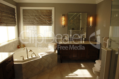Modern bath room.