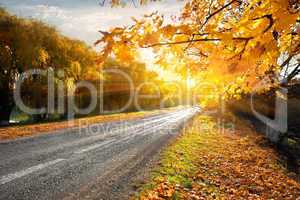 Highway and autumn