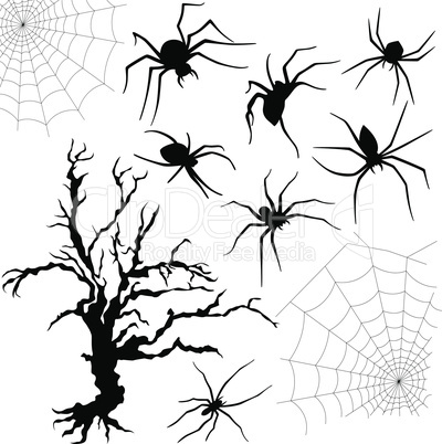 Halloween set of spiders, nettings and dried tree