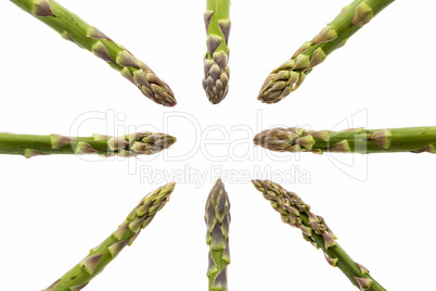 Eight Asparagus Spears Pointing at the Middle