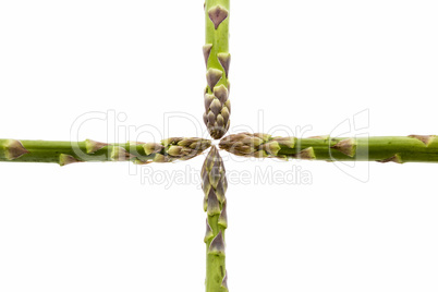 Four Asparagus Spears Meeting in the Middle