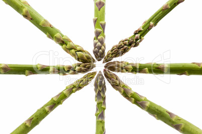 Eight Asparagus Spears Define the Center