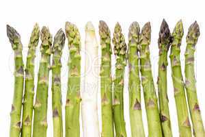 One White Asparagus Spear Among Twelve Green Ones