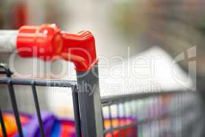 Shopping cart with goods