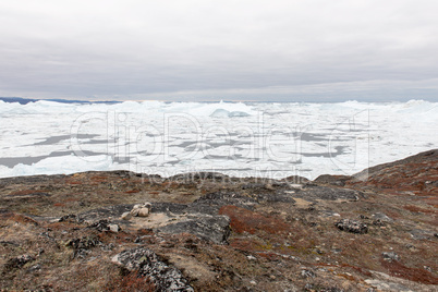 Arctic landscape in Greenland with icebergs