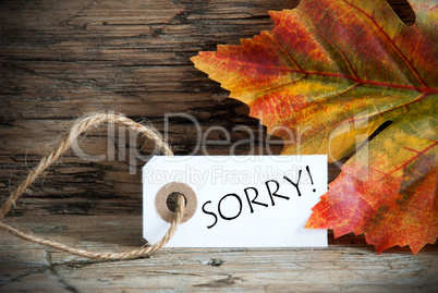 Autumn Background With Label Sorry